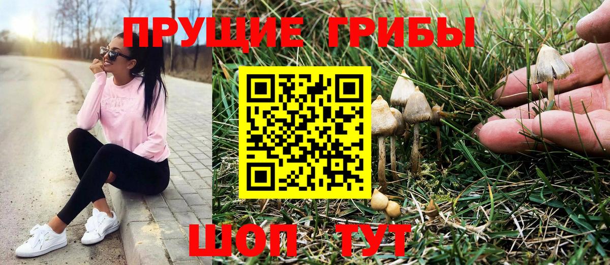 Галлюциногенные грибы MAGIC MUSHROOMS Спасск-Дальний